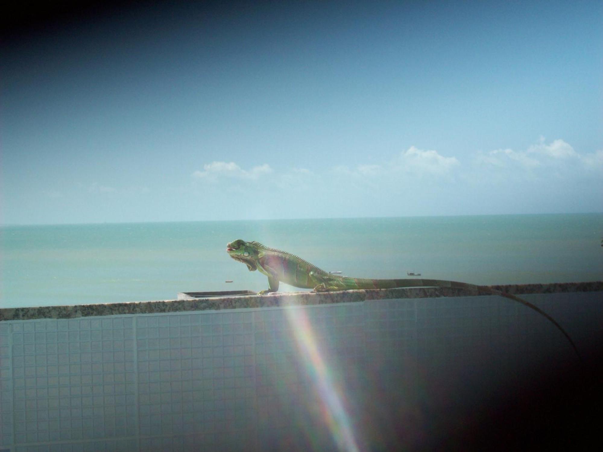 Estacao Do Sol Natal
